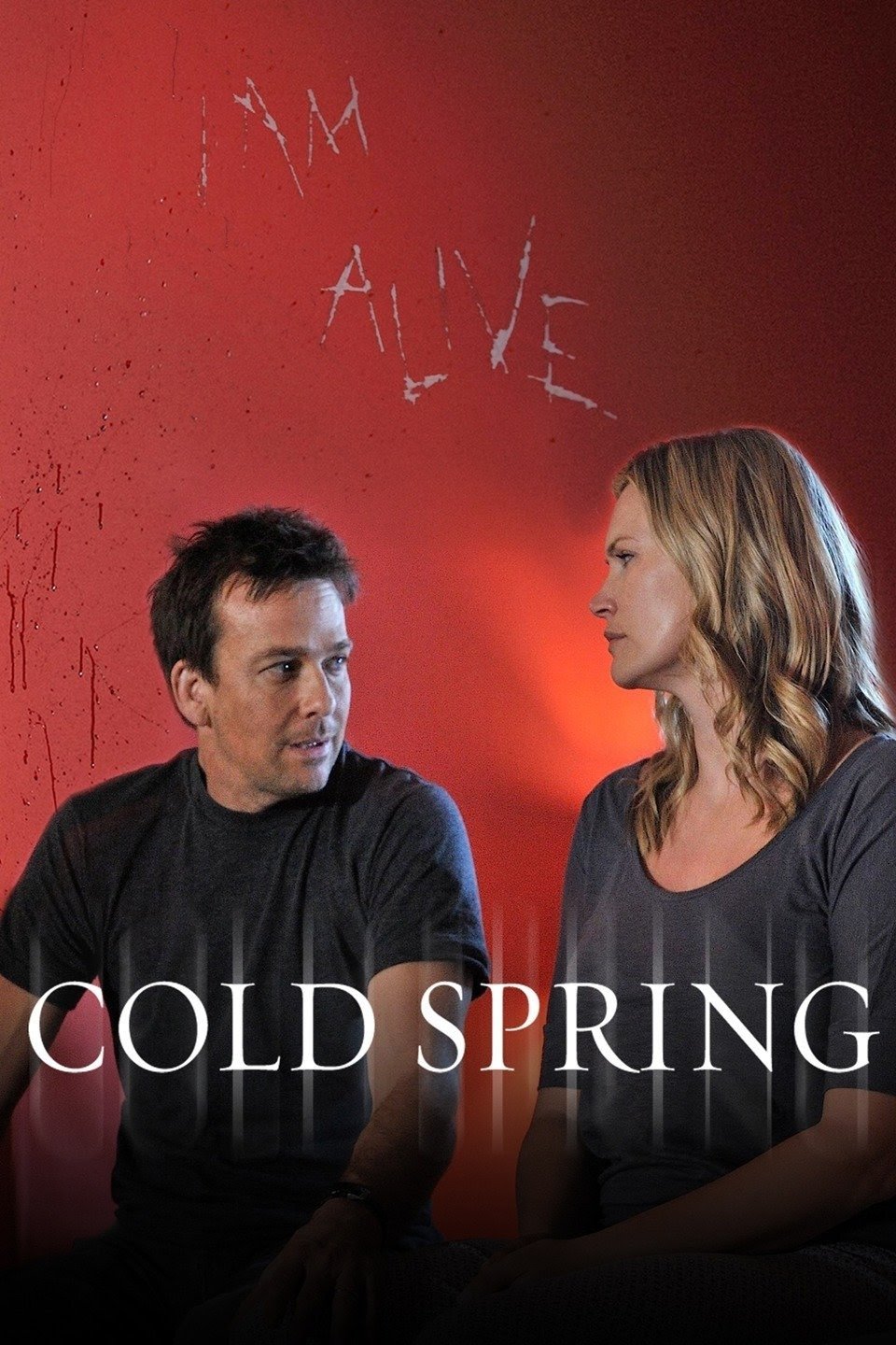 Cold Spring poster