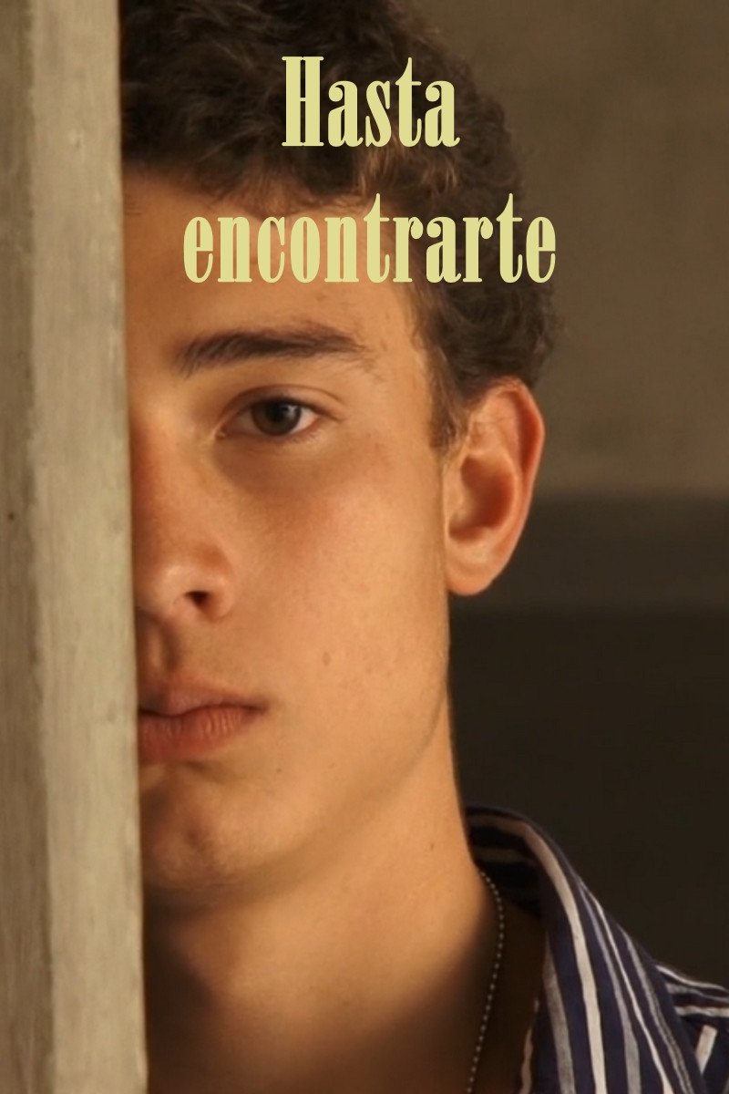 Hasta encontrarte poster
